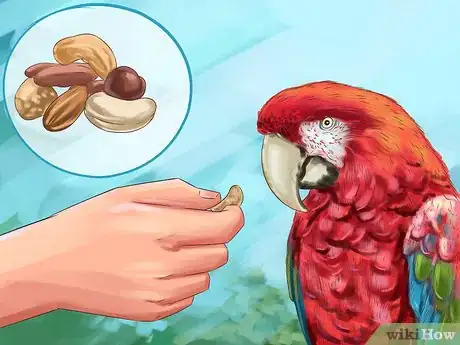 Image titled Stop a Greenwing Macaw from Biting Step 2