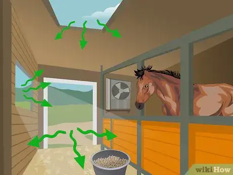 Image titled Prevent Heaves in Horses Step 6