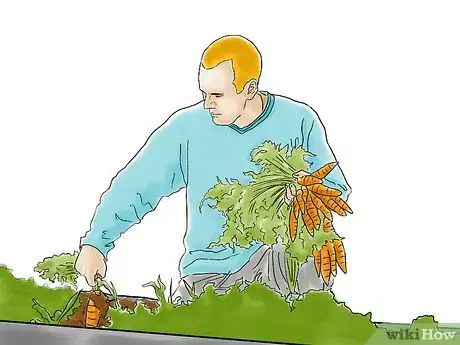 Image titled Grow Vegetables With Grow Lights Step 9