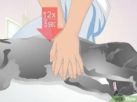 Image titled Perform CPR on a Dog Step 11