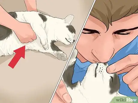 Image titled Give First Aid to an Electrocuted Animal Step 5