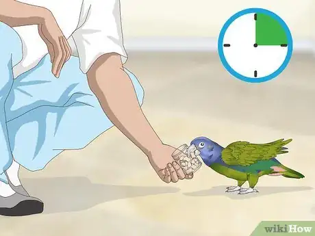 Image titled Keep a Pionus Parrot Entertained Step 7