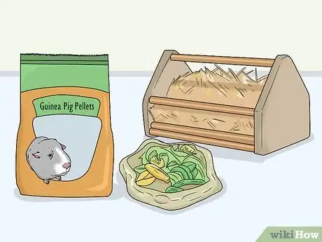 Image titled Care for a Guinea Pig After Neutering Step 4