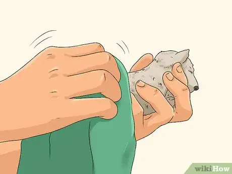 Image titled Whelp and Raise a Single Puppy Step 9
