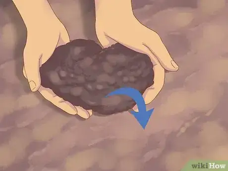 Image titled Grow Cucumbers Step 5