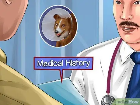 Image titled Adopt a Non‐Sporting Breed Step 8