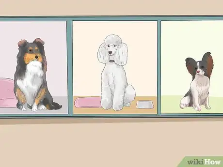 Image titled Have Your Dog Taken Care of During a Vacation Step 3