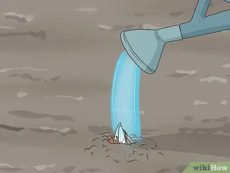 Image titled Grow Crocus Step 7