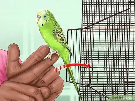 Image titled Pack and Move Your Bird Step 5