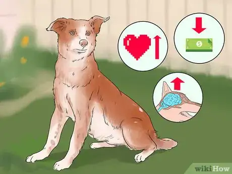 Image titled Choose an Active Dog Step 8
