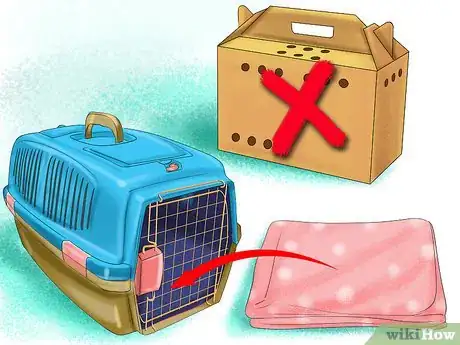 Image titled Get Rabbits Spayed or Neutered Step 4