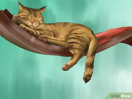 Image titled Give Your Cat Cozy Sleeping Spaces Step 11