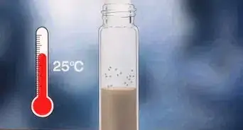 Perform Vial Transfers With Fruit Flies