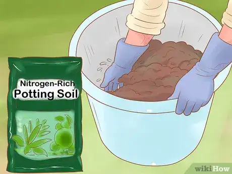 Image titled Grow Red Onions Step 7