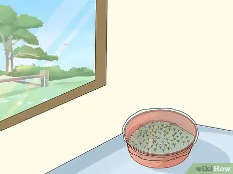 Image titled Grow African Violets Step 3