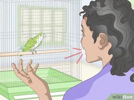 Image titled Teach a Quaker Parrot to Speak Step 6