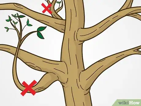 Image titled Trim Trees Step 12