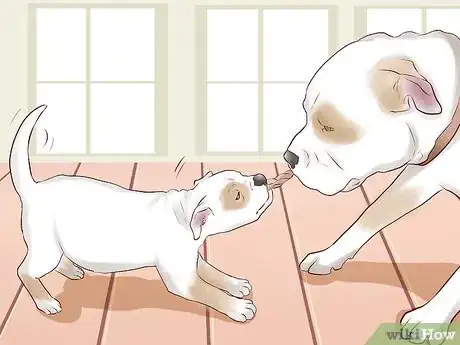 Image titled Train a Puppy Not to Bite Step 7