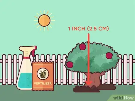 Image titled Save a Dying Rose Bush Step 13