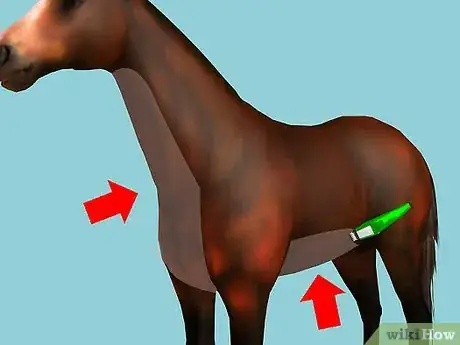 Image titled Clip Your Horse Step 1