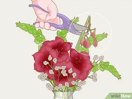 Image titled Cut Amaryllis Flower Step 12