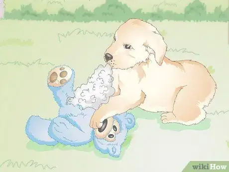 Image titled Avoid Dangerous Dog Toys Step 9