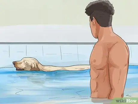 Image titled Exercise Your Dog Step 12