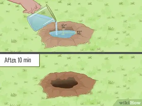 Image titled Grow Horehound Step 2