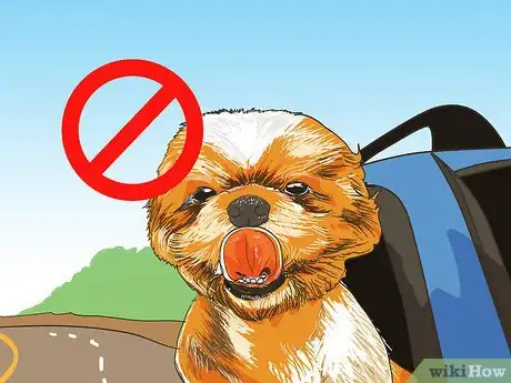 Image titled Handle Holiday Travel with Your Pet Step 3