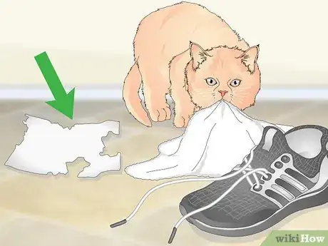 Image titled Manage Wool Sucking in Cats Step 10