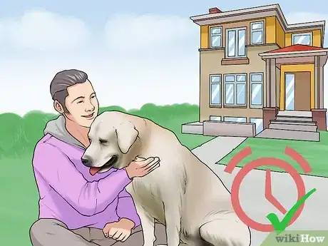 Image titled Adopt a Dog from a Humane Society or Animal Shelter Step 1