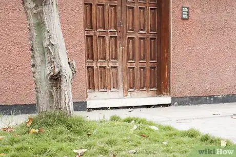 Image titled Avoid Hurting Insects Step 5