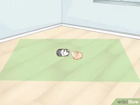 Image titled Prevent Your Guinea Pig from Becoming Sick Step 8