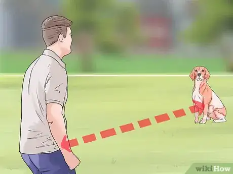 Image titled Enhance Your Dog's Recall Step 12