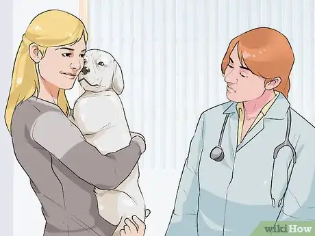 Image titled Rule Out Medical Causes of Bad Behavior in Aging Dogs Step 6