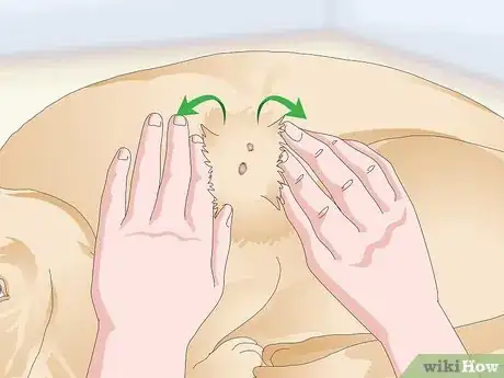 Image titled Treat Canine Tick Problems Step 13