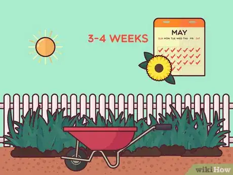 Image titled Plant Cover Crops Step 13