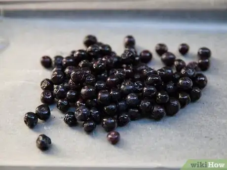 Image titled Store Blueberries Step 9