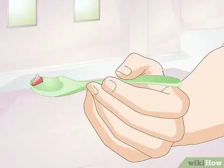 Image titled Hand Feed a Hermit Crab Step 2