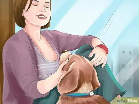 Image titled Show Affection to an Older Dog Step 3