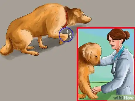Image titled Watch a Dog for Stiff or Limp Movements Step 10