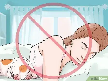 Image titled Prevent a Dog and Cat Tapeworm Infection (Dipylidium Infection) Step 10