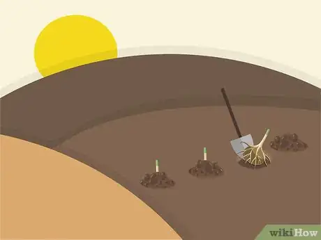 Image titled Plant Begonia Bulbs Step 11