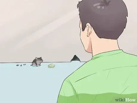 Image titled Recognize and Treat Lymphocytic Choriomeningitis (LCM) Step 7