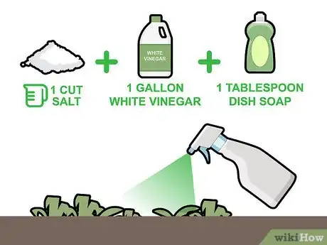 Image titled Kill Grass Invading a Flower Bed Step 17