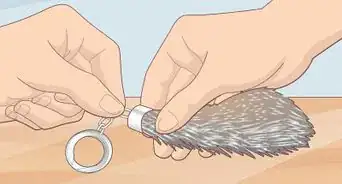 Perform Salt Cure Taxidermy