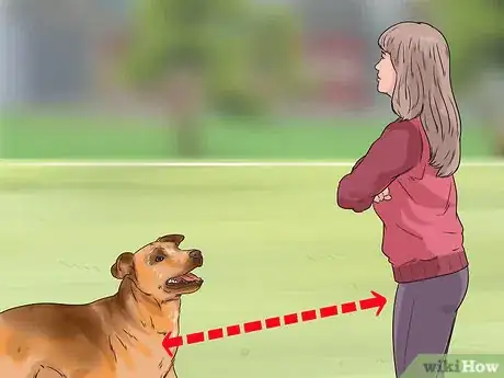 Image titled Enhance Your Dog's Recall Step 11