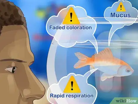 Image titled Start a Saltwater Aquarium Step 27