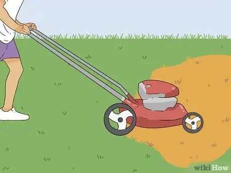 Image titled Bring Back Dead Grass Step 13