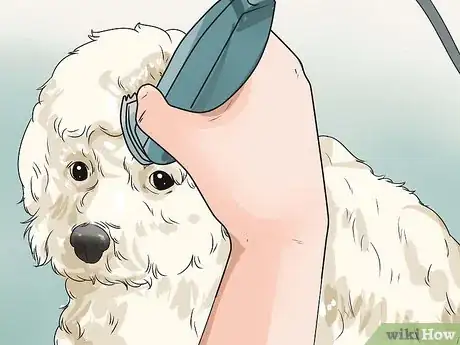 Image titled Care for Shihpoos Step 17